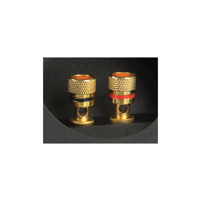 ACV 2 Pole Subwoofer Box Terminal